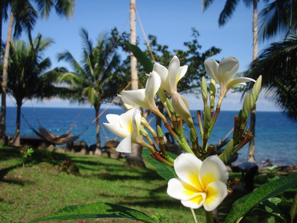 Camiguin Volcan Eco Retreat & Dive 3* Mambajao